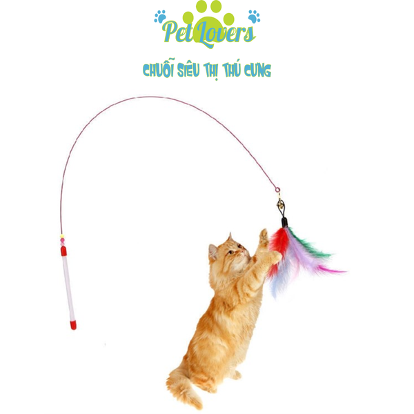 Cần câu mèo lông vũ