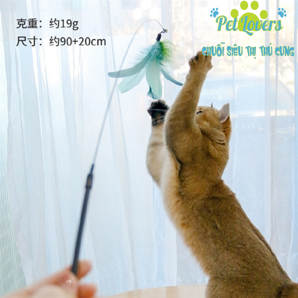 Cần câu mèo lông vũ to