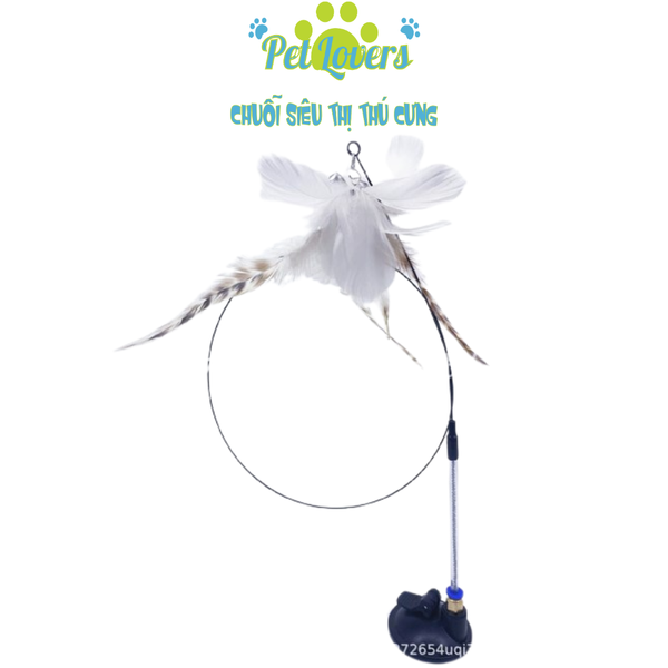 Cần câu mèo cố định nền nhà tự chơi