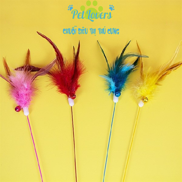 Cây gậy giỡn lông vũ cán dài