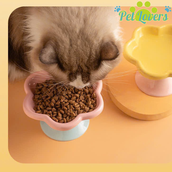 Chén sứ hoa nhiều màu