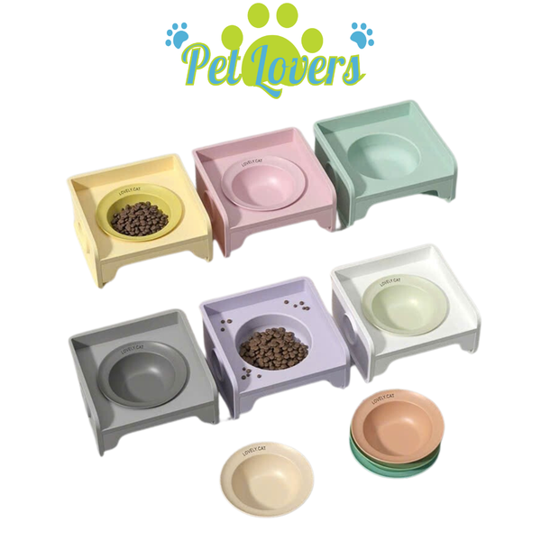 Khay chén sứ đế vuông màu