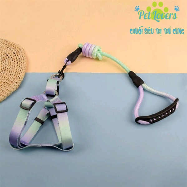 Dây dắt kèm yếm đa sắc size M, S