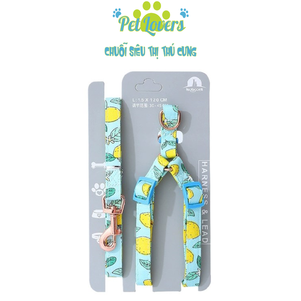 Dây dắt 1.2 kèm yếm trái cây bản 1.0cm chó mèo vừa và nhỏ