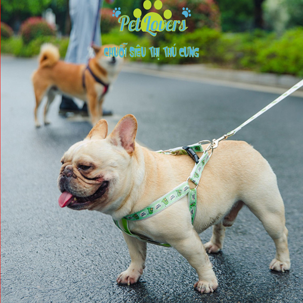 Dây dắt hoạt hình kèm yếm dành cho chó