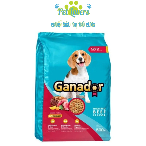 Ganador hạt cho chó trưởng thành vị bò nướng 500g