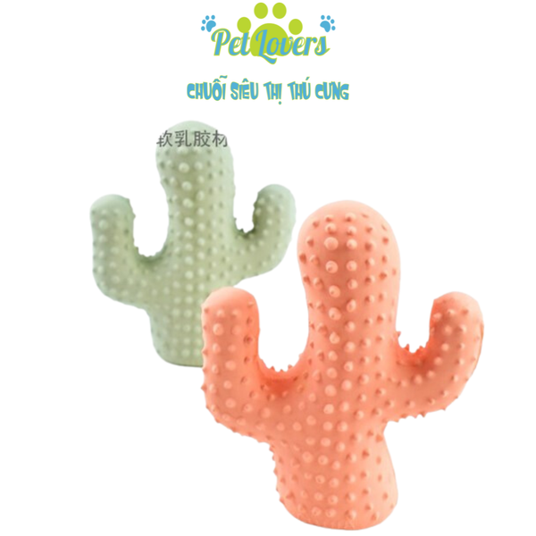 Đồ chơi gặm biết kêu cho chó xương rồng