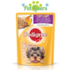 Pedigree sốt cho chó lớn 80g