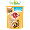 Pedigree sốt cho chó lớn 80g