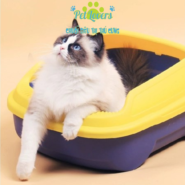 Thau cát xanh phối 2 màu 50*40*21cm