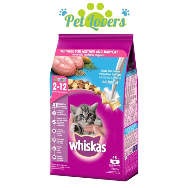 Whiskas hạt cho mèo con 1.1kg