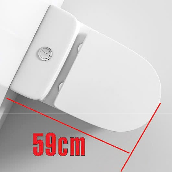 Bồn Cầu Vincy Khối Dành Cho Không Gian Nhỏ - V999