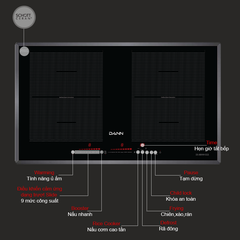 Bếp Từ Bếp Việt - Dann DS-IB999 EGS