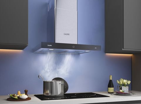 Máy Hút Mùi Bếp Việt - Dann DS70T