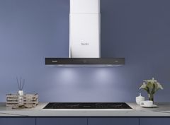 Máy Hút Mùi Bếp Việt - Dann DS70T
