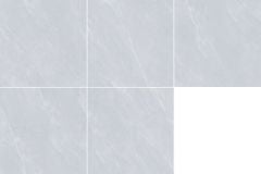 Gạch Viglacera 80x80 NY1-GP8801