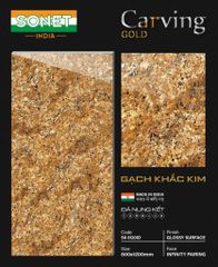 Gạch Lát Cầu Thang - SK61201D