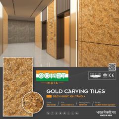Gạch Lát Cầu Thang - SK61201D