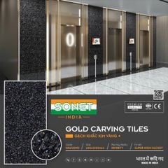 Gạch Lát Cầu Thang - SK61209D