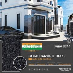 Gạch Lát Cầu Thang - SK61209D