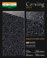 Gạch Lát Cầu Thang - SK61209D