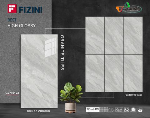 Gạch Thắng Cường 60x120 - GVN.6123