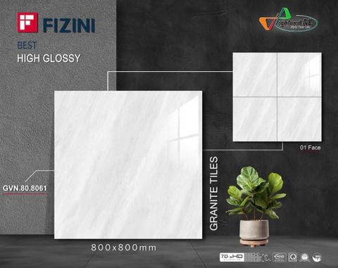 Gạch Thắng Cường 80x80 - GVN.80.8061