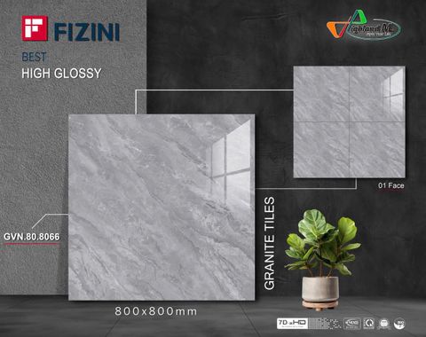 Gạch Thắng Cường 80x80 - GVN.80.8066