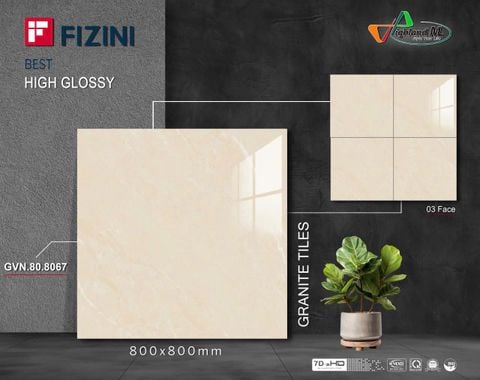 Gạch Thắng Cường 80x80 - GVN.80.8067