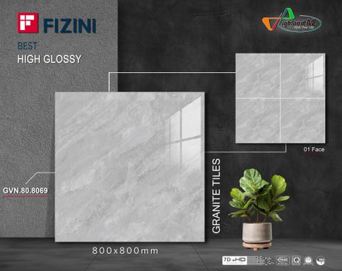 Gạch Thắng Cường 80x80 - GVN.80.8069