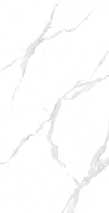Gạch Viglacera 60x120 NY12–GM61201