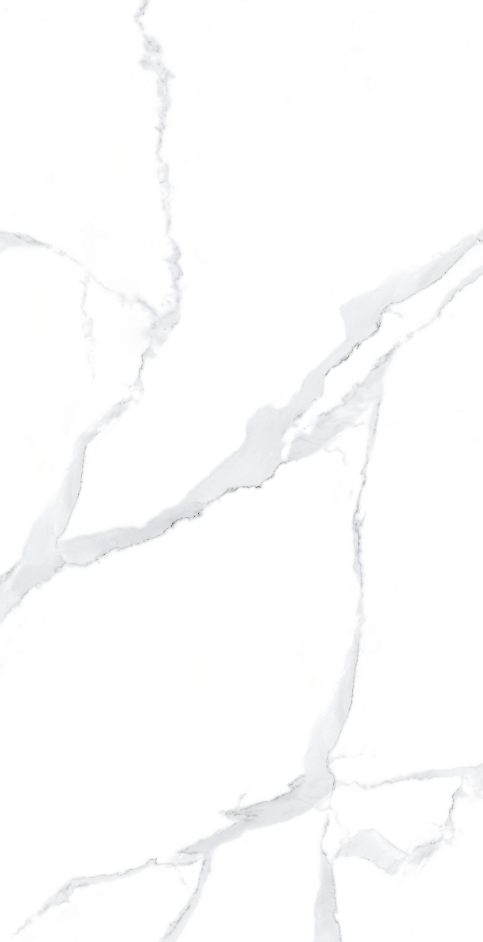 Gạch Viglacera 60x120 NY12-GP61201