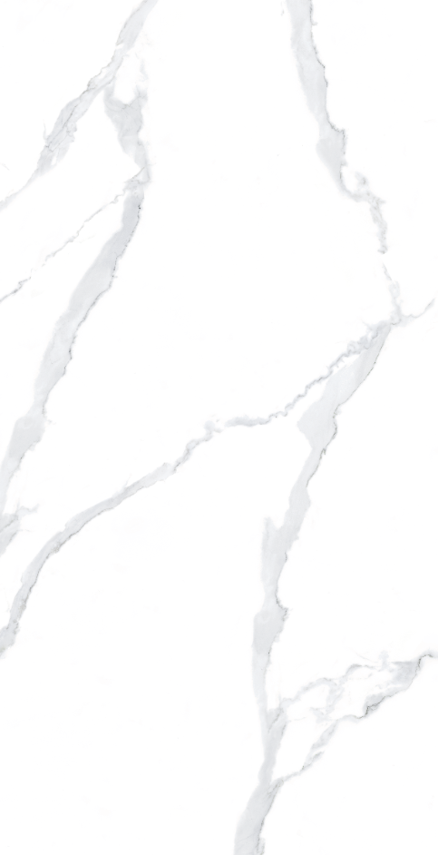 Gạch Viglacera 60x120 NY12-GP61201