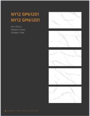 Gạch Viglacera 60x120 NY12-GP61201