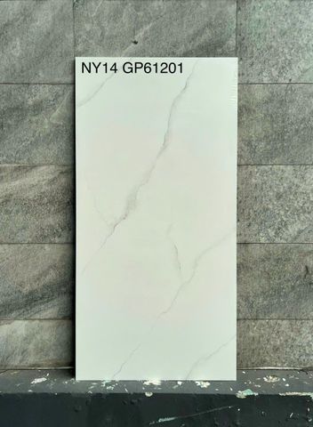 Gạch Viglacera 60x120 NY14-GP61201