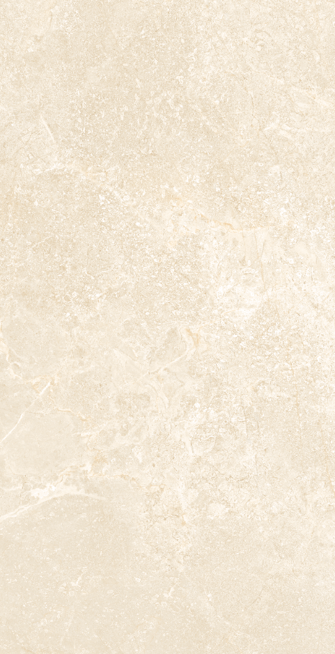 Gạch Viglacera 60x120 NY16-GP61202