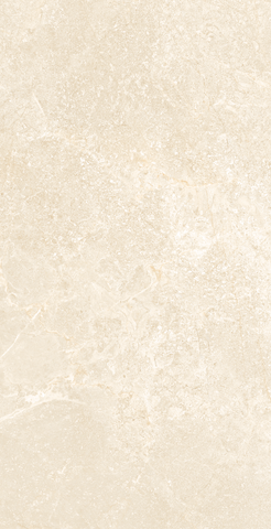 Gạch Viglacera 60x120 NY16-GP61202