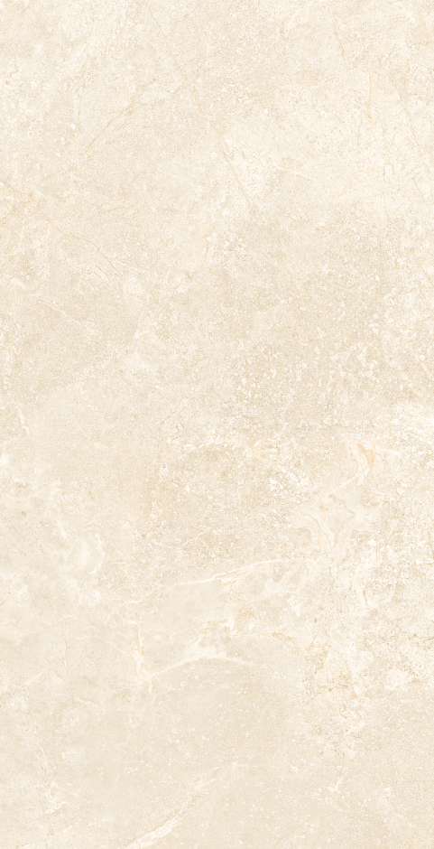 Gạch Viglacera 60x120 NY16-GP61202