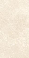 Gạch Viglacera 60x120 NY16-GP61202