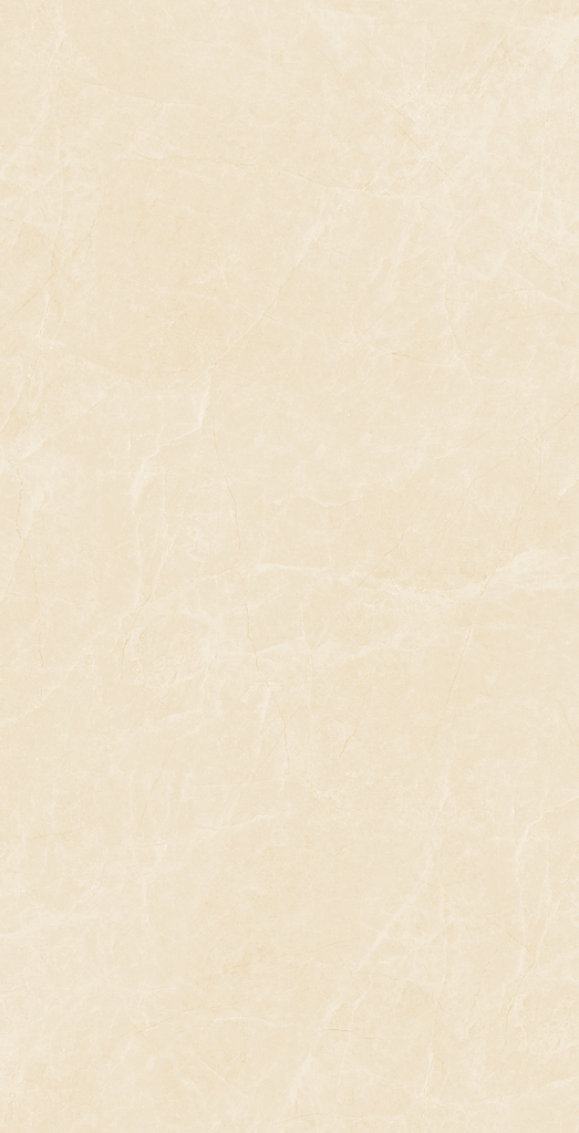 Gạch Viglacera 60x120 NY4–GM61203