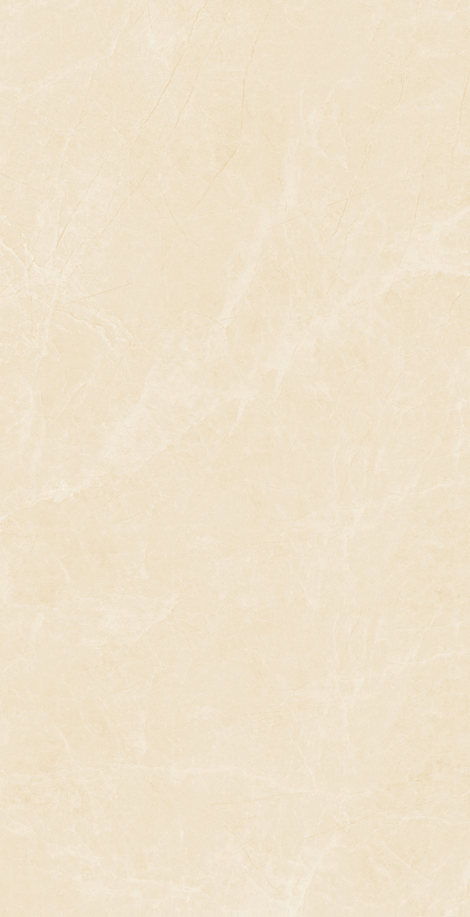 Gạch Viglacera 60x120 NY4–GM61203
