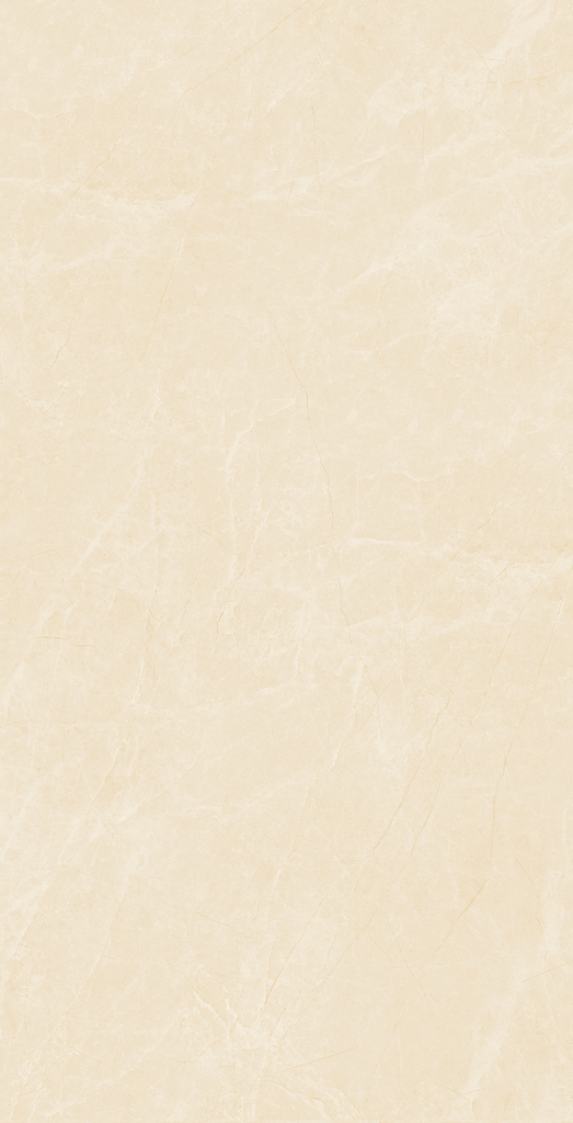 Gạch Viglacera 60x120 NY4–GM61203