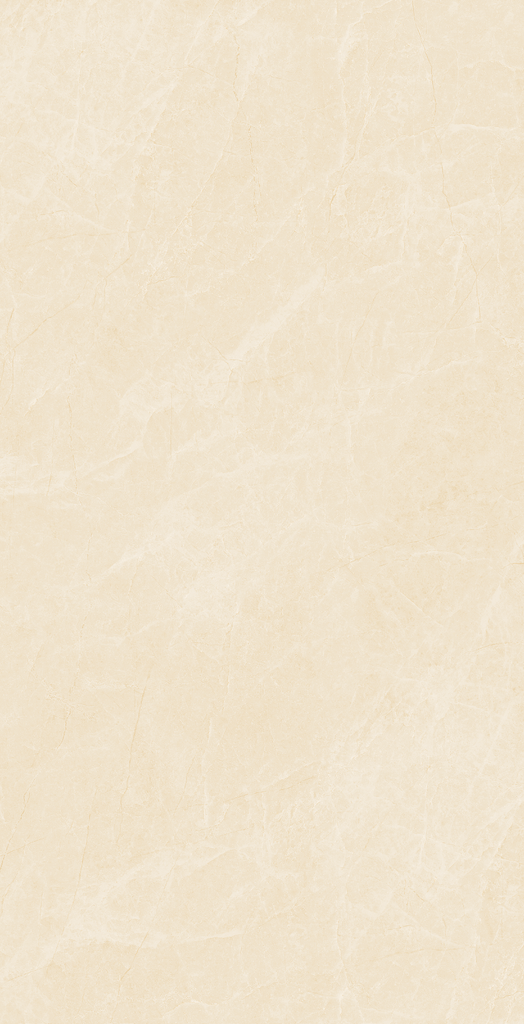 Gạch Viglacera 60x120 NY4–GM61203