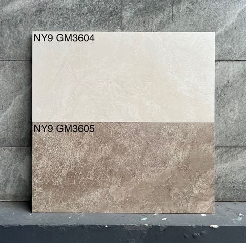 Gạch Viglacera 30x60 NY9–GM3605