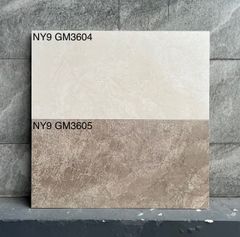 Gạch Viglacera 30x60 NY9–GM3604