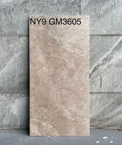 Gạch Viglacera 30x60 NY9–GM3605
