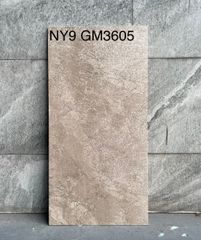 Gạch Viglacera 30x60 NY9–GM3605