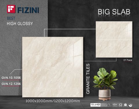 Gạch Thắng Cường 120x120 GVN-12.1256