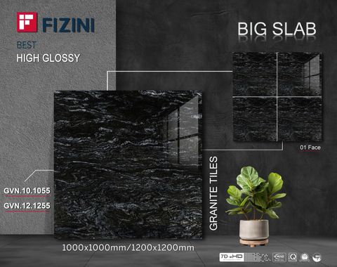 Gạch Thắng Cường 120x120 GVN-12.1255