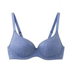 Áo lót nữ Tuche Gunze JB6006H - 2300